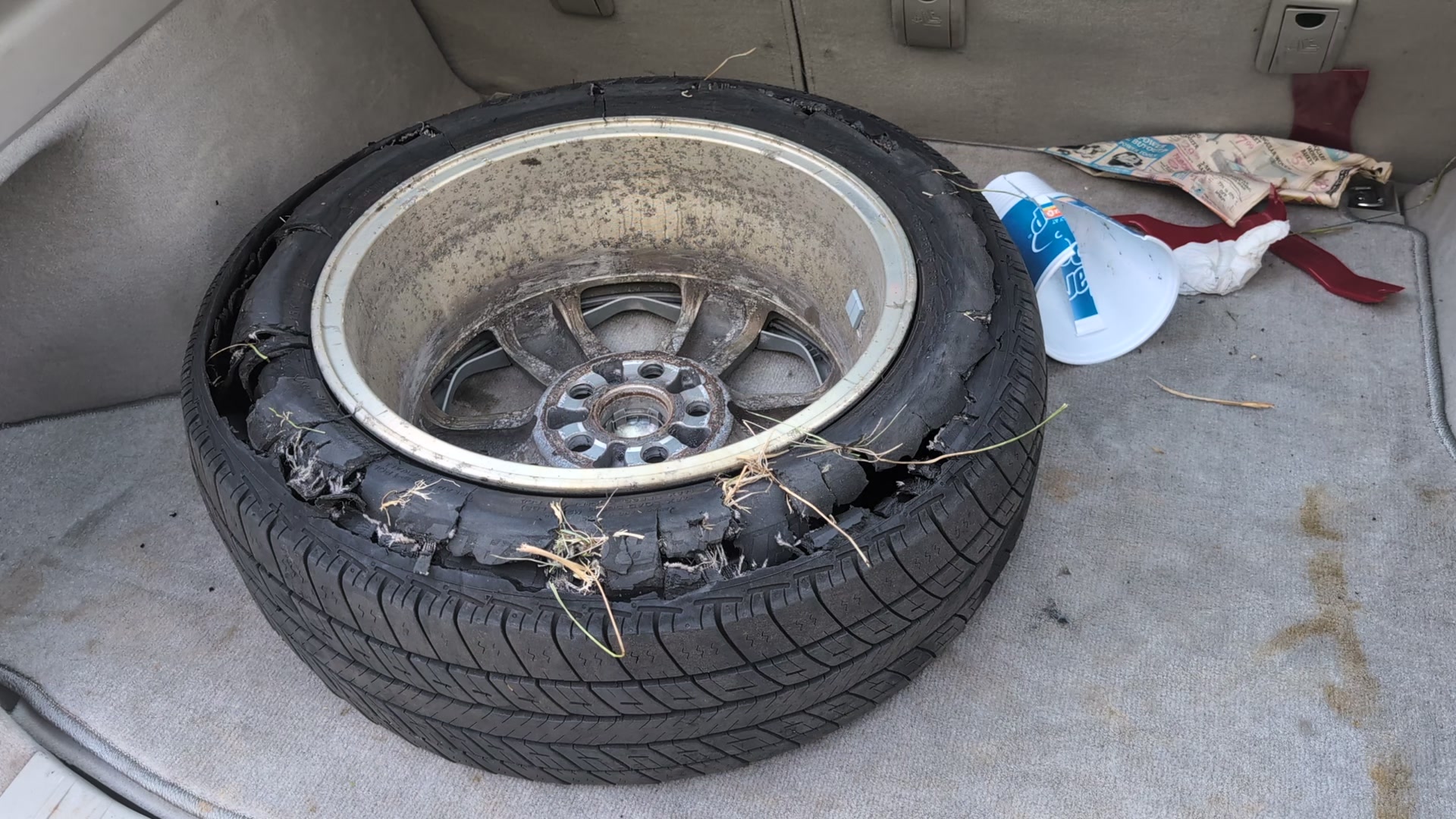 A very destroyed tire in the back of a sad Prius